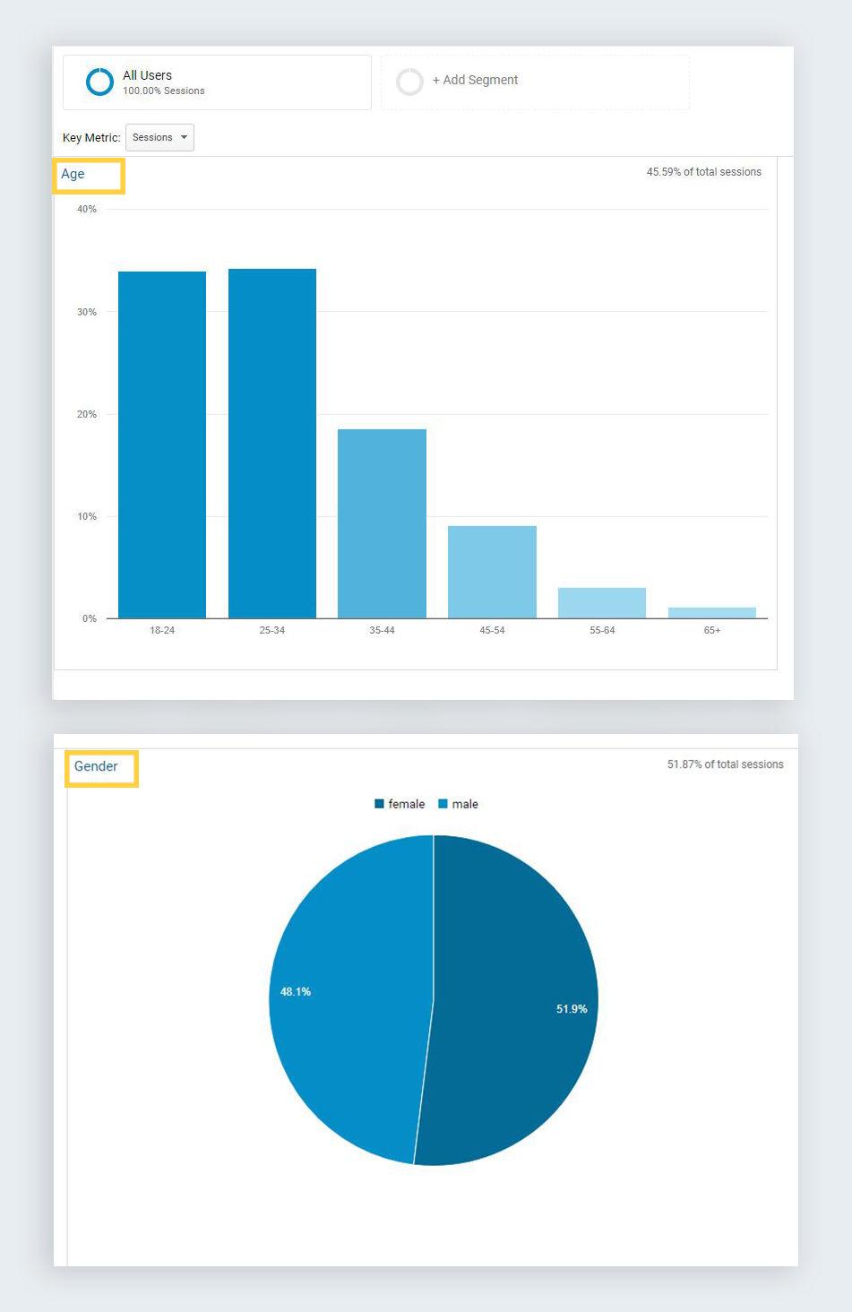 google analytics reports demographics